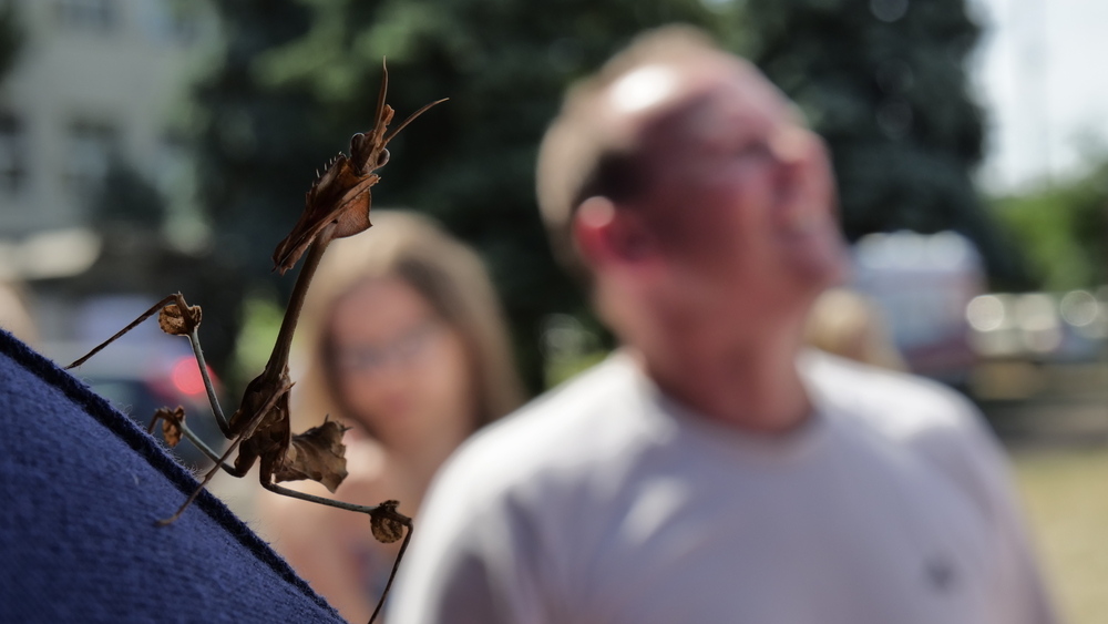 A man at the Science Picnic